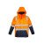 Orange/Navy  +