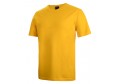  JB's Adult 100% Cotton Daffodil Tee