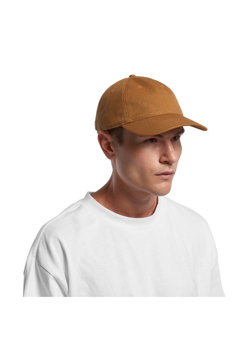 Access Canvas Cap