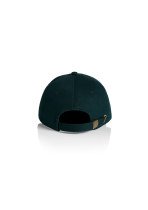 Access Canvas Cap