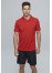 AP Botany Mens Polo