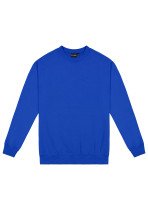 Kids Standard Crew Neck Sweat