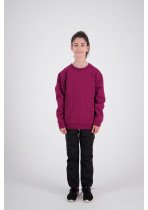 Kids Standard Crew Neck Sweat