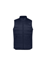 Mens Alpine Vest