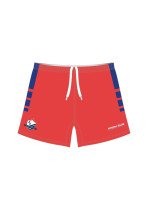 Football Shorts Playing Standard Fit Adult